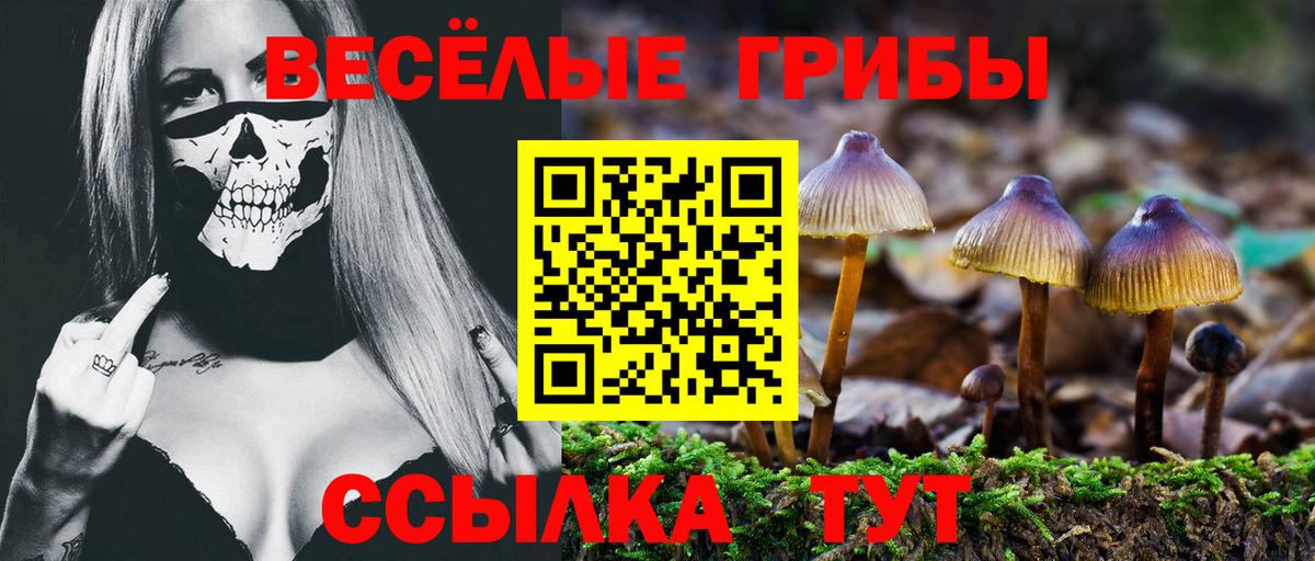 Галлюциногенные грибы MAGIC MUSHROOMS Соликамск